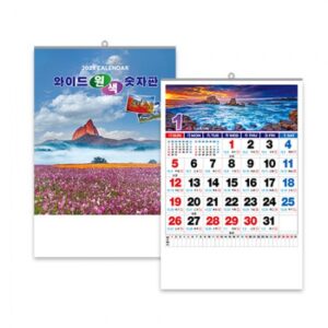 와이드 원색 숫자판 J 100 벽걸이 달력 캘린더 제작 인쇄 대표이미지